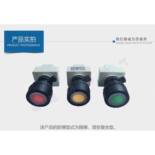 防爆按钮/防爆带灯按钮/防爆8030系列带灯按钮/防爆控制按钮