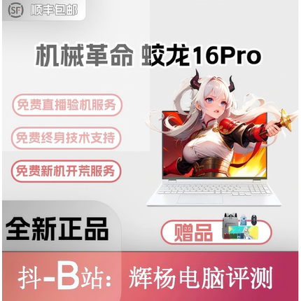 MECHREVO/机械革命 蛟龙 蛟龙16Pro