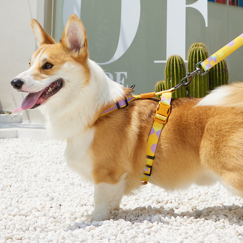 狗狗牵引绳网红柯基柴犬中小型犬