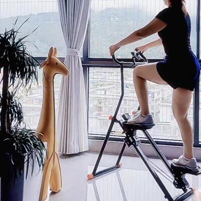 爬楼机健身家用运动器材