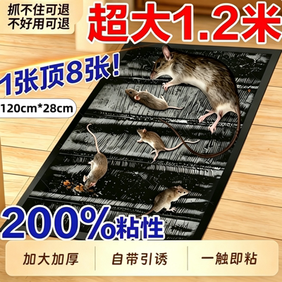 强力粘鼠板家用捕鼠灭鼠