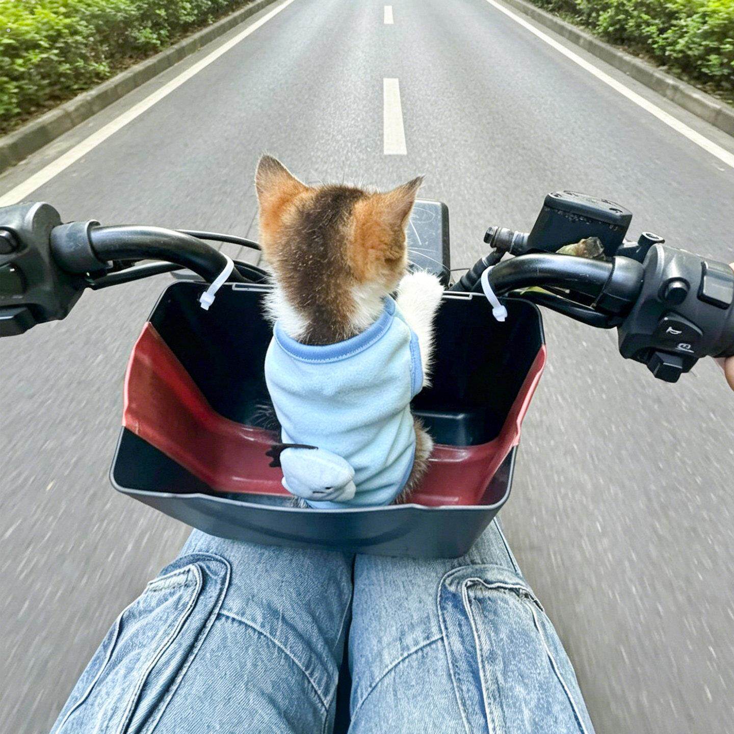 【电动车带宠物神器】猫咪座位前置款车篮外出遛弯车载窝可折叠