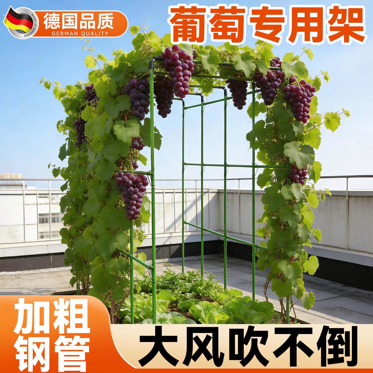 葡萄架子庭院户外黄瓜爬藤架子豆角架杆丝瓜搭棚子支架植物支伸缩