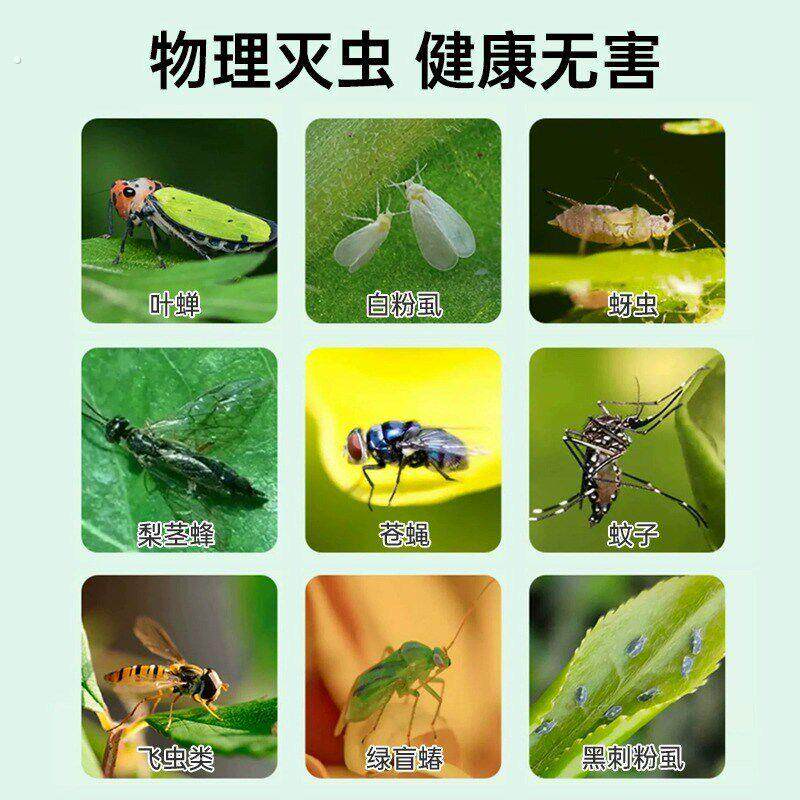 粘虫板黄板双面小飞虫灭杀神器大棚灭苍蝇贴纸果园果蝇蚊子诱捕器