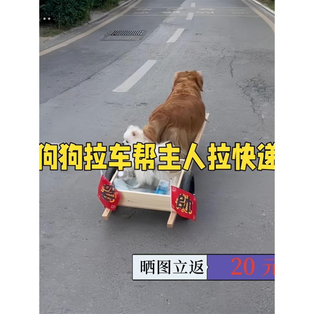 网红狗拉车手工艺品出门取快递，宠物拉车，狗手推车，户外宠物拉
