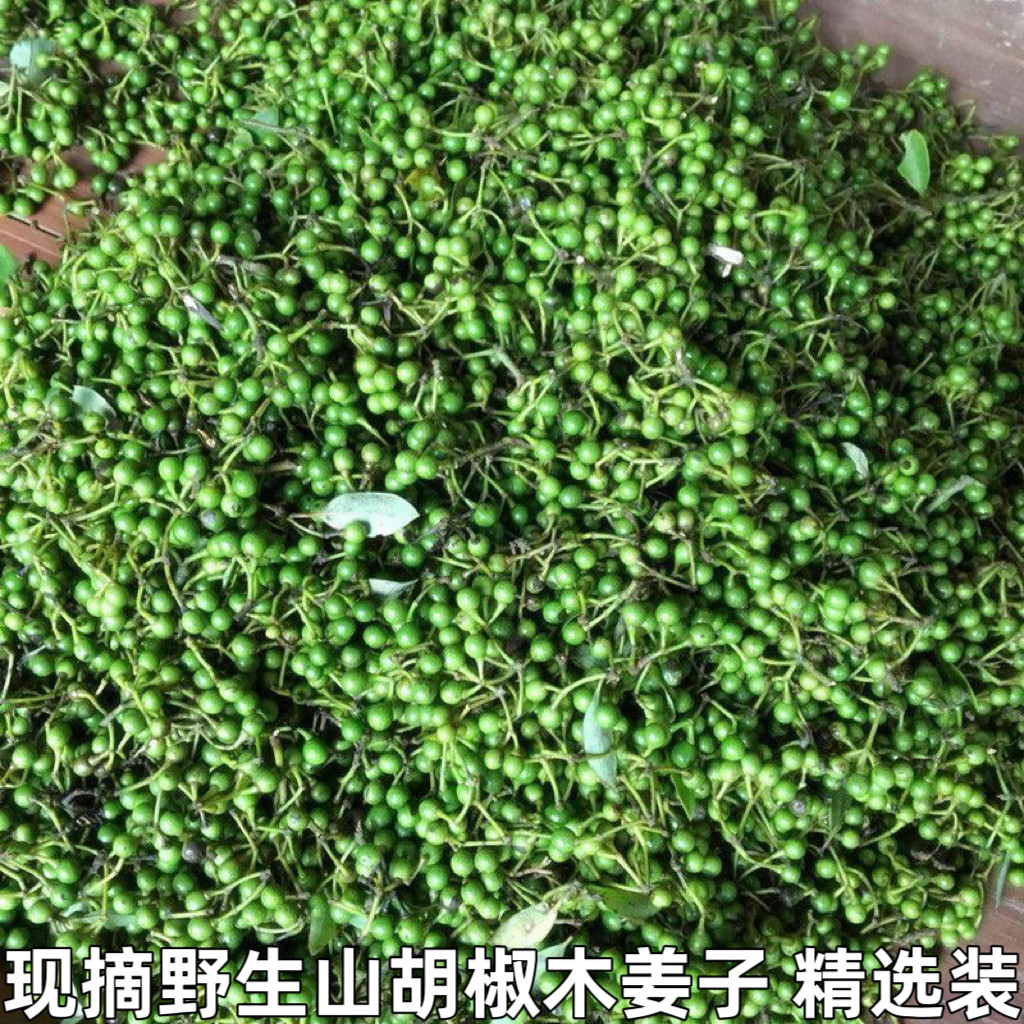 野生山胡椒新鲜木姜子现摘