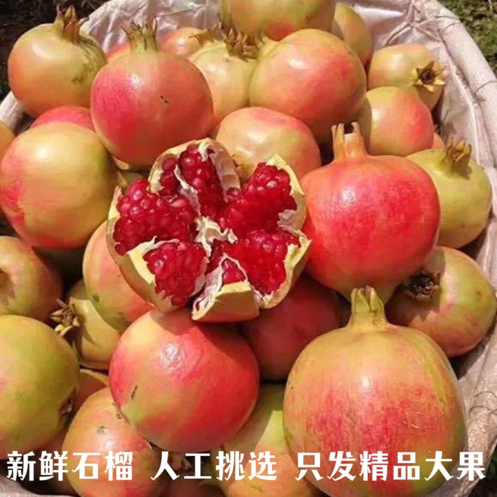 农家自种突尼斯新鲜当季时令水果红宝石软籽石榴无籽石榴精选大果
