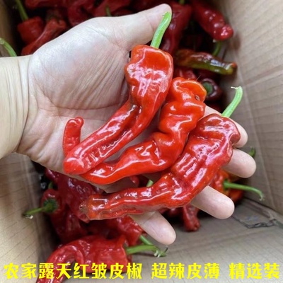新鲜红辣椒红皱皮辣椒红尖椒小米椒椒薄皮剁椒鲜红皱皮椒红椒超辣