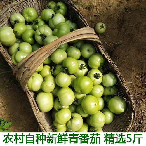 湖北宜昌农家新鲜蔬菜番茄西红柿