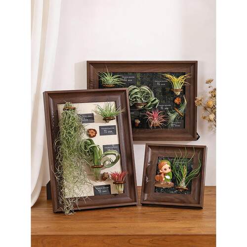 ins空气凤梨简约软装diy绿植现代装饰画电表箱办公室墙上磁吸画框