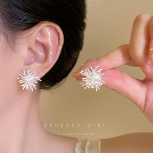 轻奢高级感烟花耳钉女韩系百搭花朵独特漂亮耳环小众设计感耳饰品