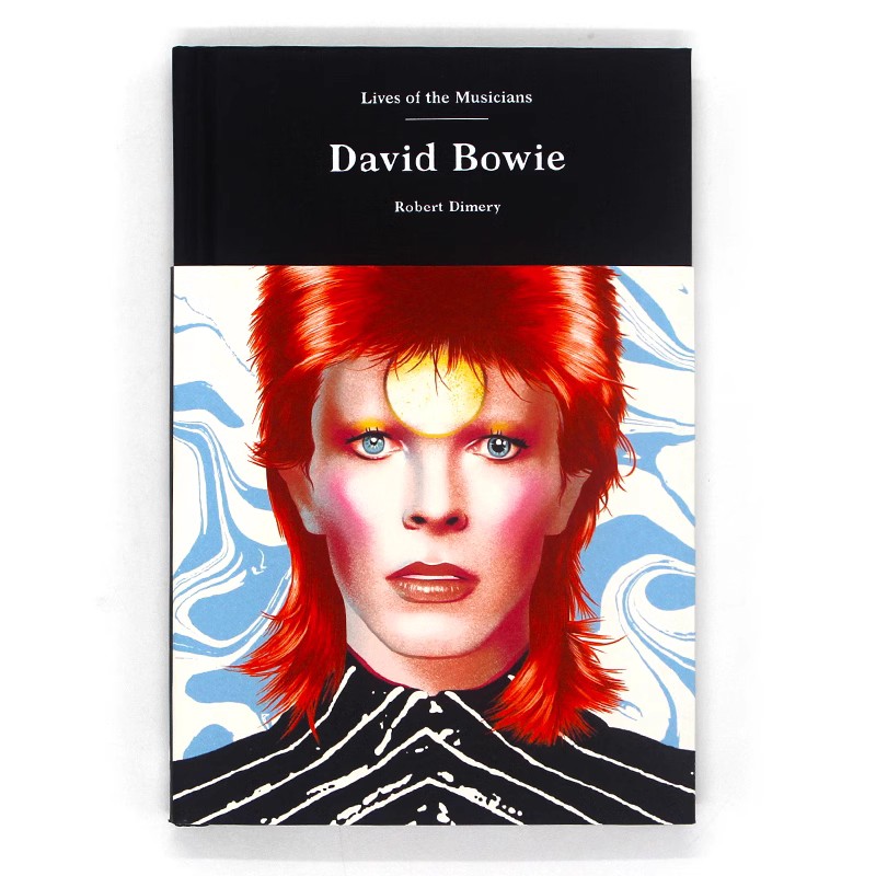 现货 David Bowie 大卫·鲍伊 音乐家的生活系列 英国摇滚乐先锋 90年代流行歌手 Robert Dimery