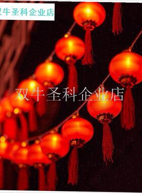 新年装饰2025春节过年气氛灯发光福字彩灯串灯笼Tled蛇年氛围灯.