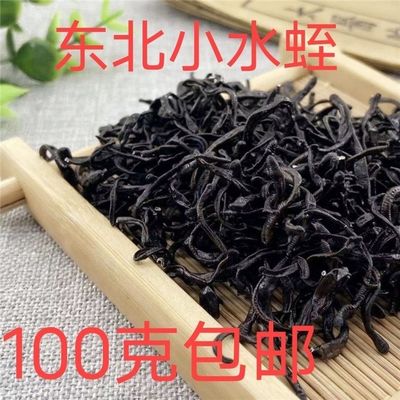 中药材野生清水日本医蛭小水蛭蚂蟥干品干货包邮免费磨水蛭粉