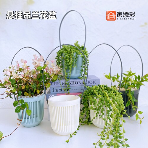 加厚墙上吊盆悬挂式塑料吊兰花盆