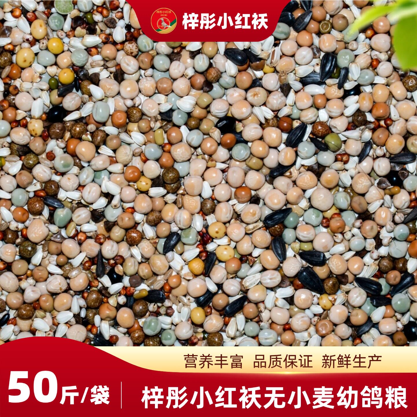 梓彤小红袄精品无小麦幼鸽粮幼鸽肉鸽鸽子信鸽观赏鸽粮食50斤包邮