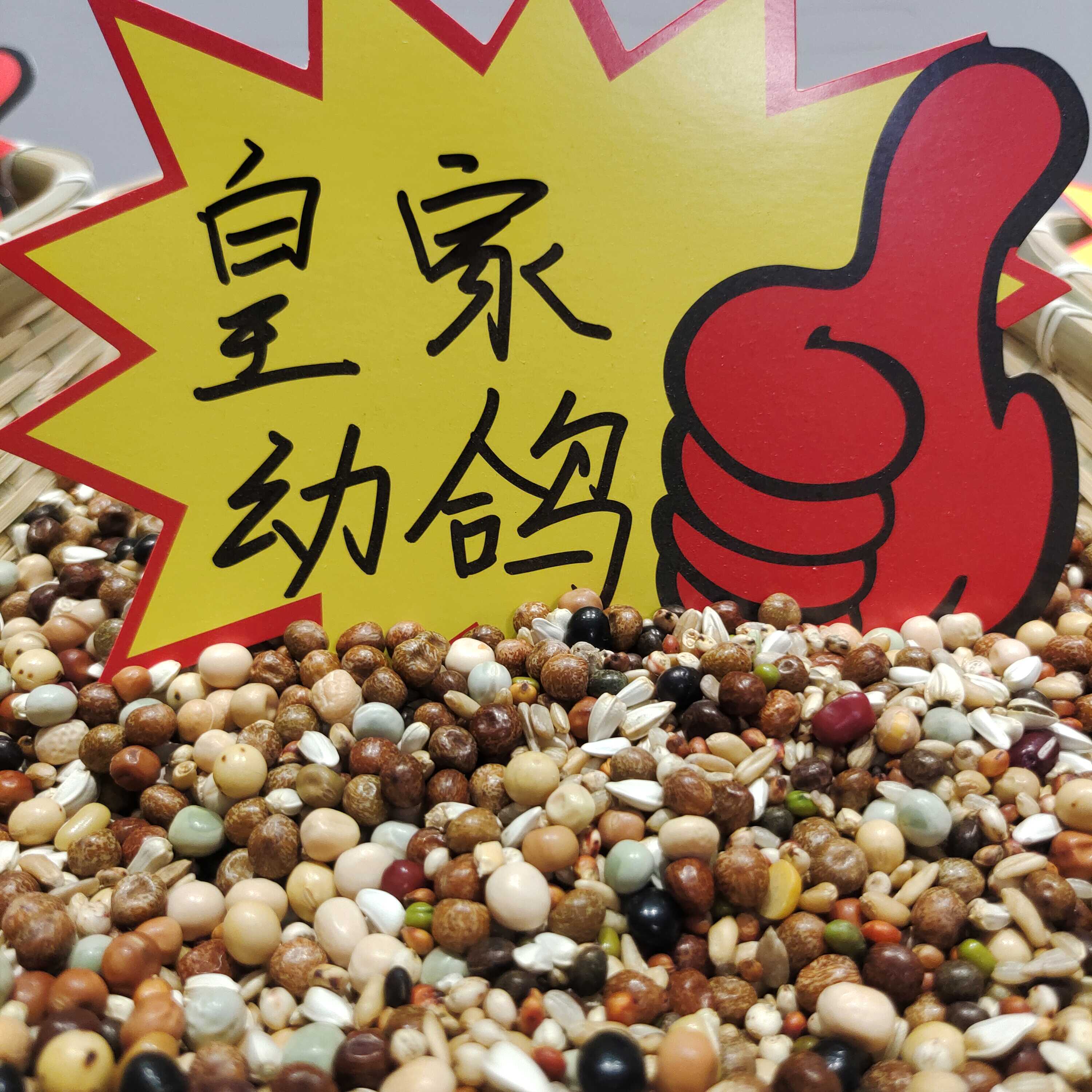 江浙包邮鸽粮无玉米鸟食饲料观赏鸽信鸽肉鸽职业高端幼鸽鸽子粮食