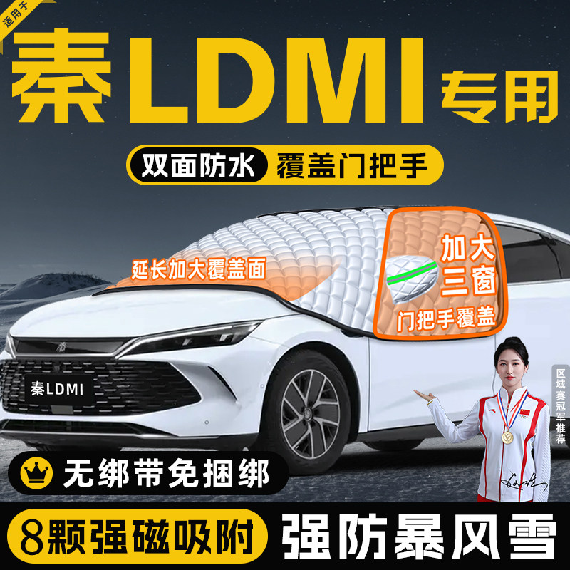【秦LDMI专用】真三窗遮雪挡