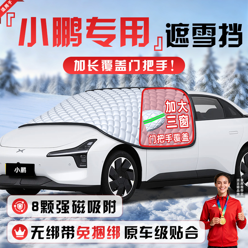【适用于小鹏车系】遮雪挡
