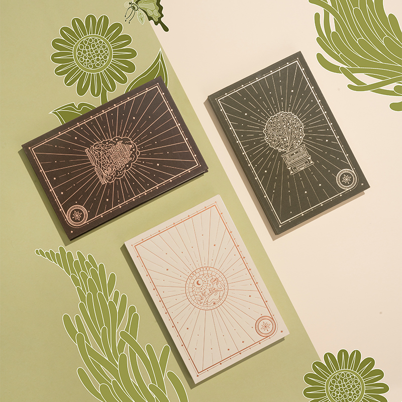 国家大剧院 简爱珍藏版手绘插画记事笔记本本子简约ins风学生礼物