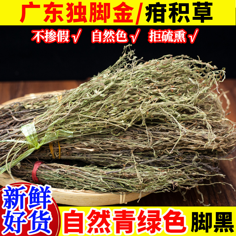 广东独脚金小孩喝汤料新鲜新货