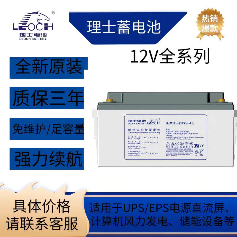 LEOCH理士蓄电池 DJM1265S DJM12100S 12V38/65/100A UPS/EPS电源