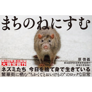 现货 野鼠预警 写真集 まちのねにすむ 摄影老鼠照片日版书原啓義原版进口图书