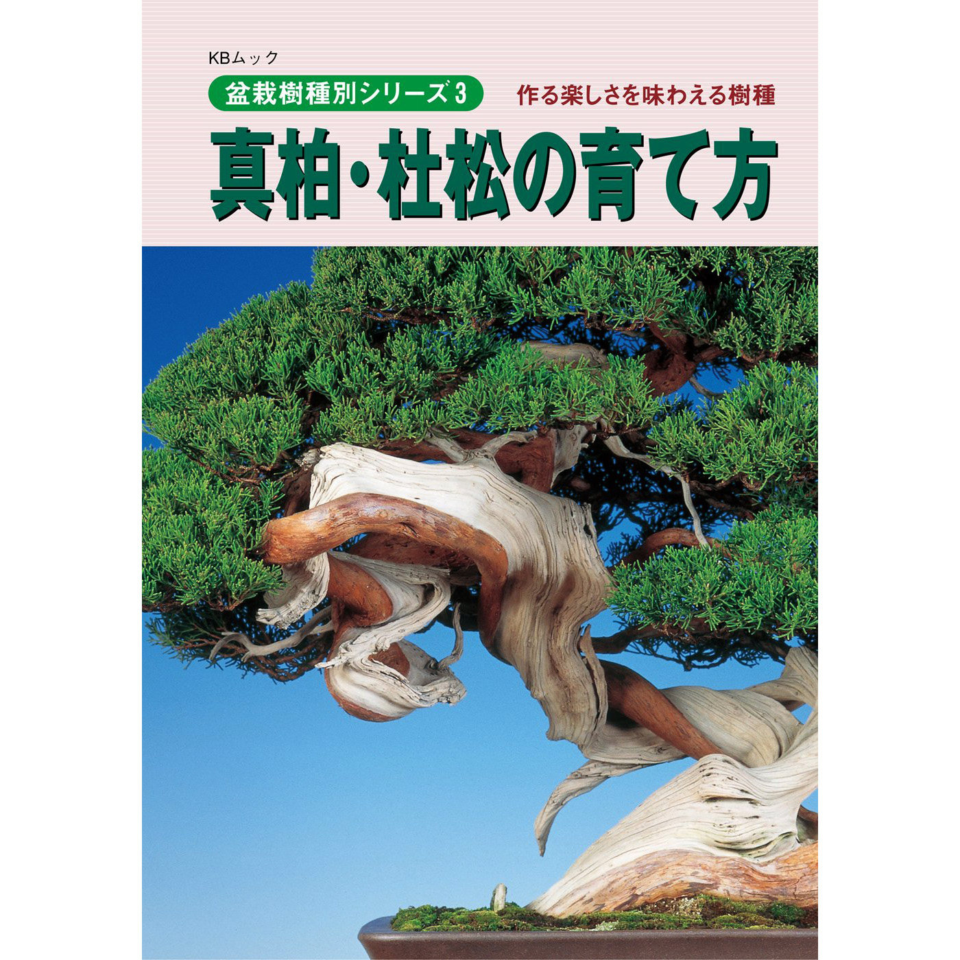 现货 日版 真柏 杜松の育て方 盆栽樹種別シリーズ 松树柏树种植修剪