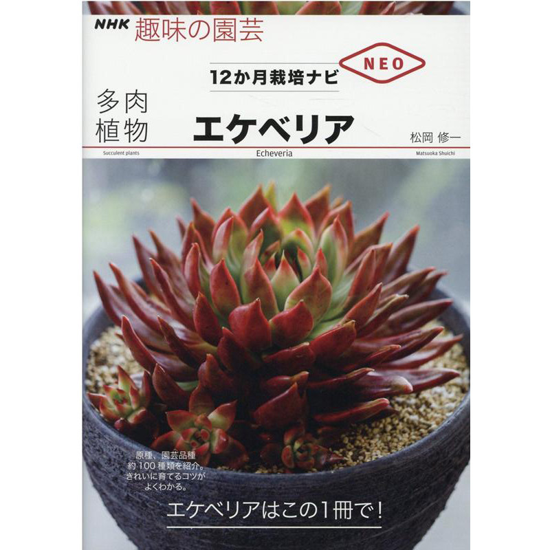 现货 日本 多肉植物 エケべリア  NHK趣味の園芸 12か月栽培ナビNEO 多肉植物石莲花12个月种植栽培方法图书 日文原版原版进口图书