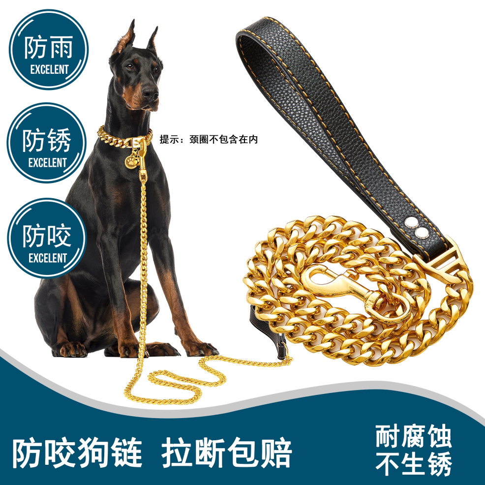 19MM金属金色链条防咬牵引绳,带皮革挽手,适用于大、中、小型狗