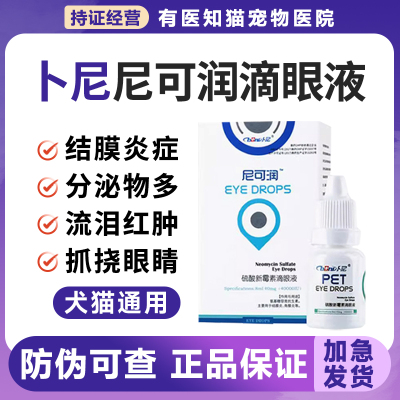 卜尼尼可润猫咪眼药水硫酸新霉素滴眼液眼睛流泪发炎宠物猫用消炎