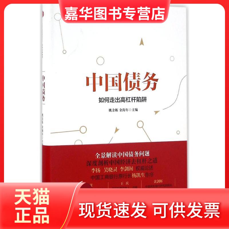 【正版现货】 中国债务 姚余栋 金海年 著 中信出版社