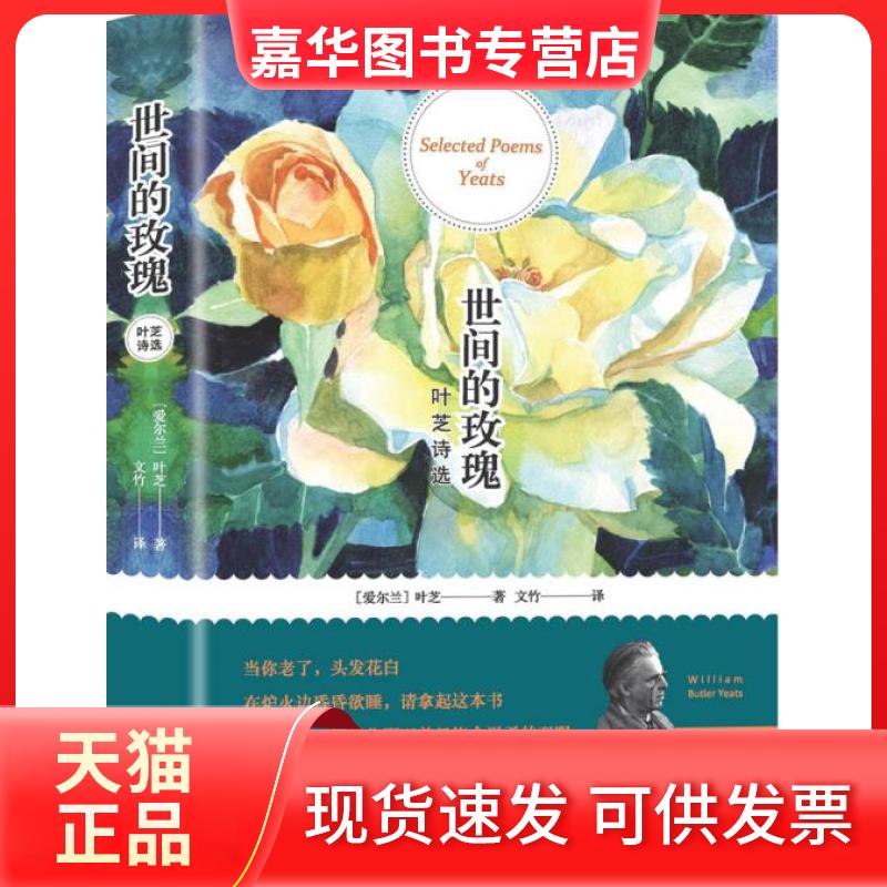 【正版现货】 叶芝诗选 (爱尔兰)叶芝 天地出版社