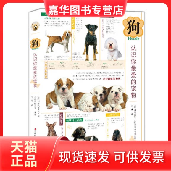 【正版现货】 狗(认识你的宠物) 科隆诺曼• 戈贝尔出版有限公司 吉林出版集团