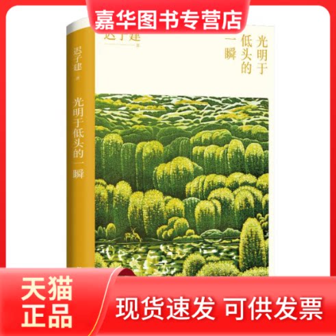 【正版现货】 光明于低头的一瞬(茅盾文学奖得主迟子建散文自选集全球漫游的旅行记带你去看繁华世界 迟子建 著 浙江文艺出版社