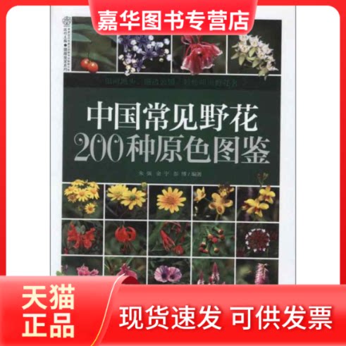 【正版现货】 中国常见野花200种原色图鉴 朱强,金宁,彭博 著作 江苏科学技术出版社
