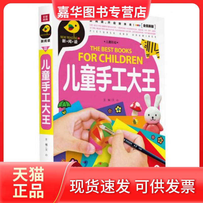 【正版现货】 儿童手工大王 文心  编 天地出版社