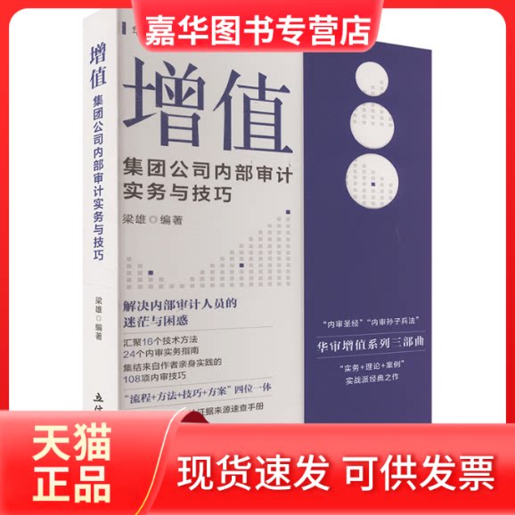 【正版现货】 增值 集团公司内部审计实务与技巧 梁雄 编著 编 立信会计出版社
