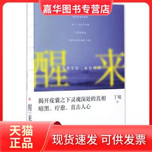 【正版现货】 醒来:凡真实的必会相遇 丁锐 北京联合出版公司