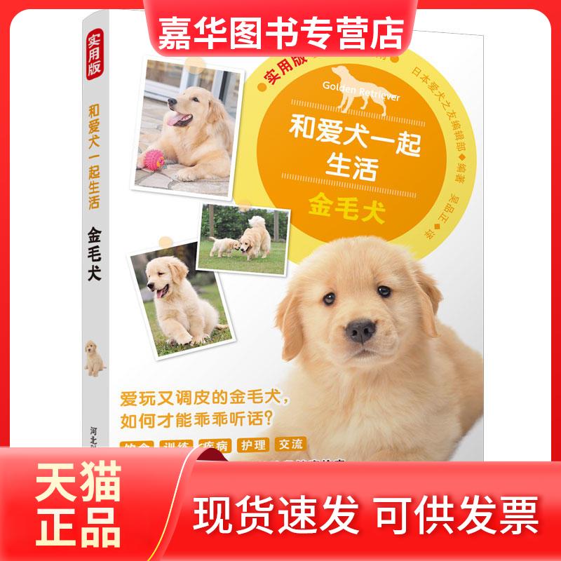 【正版现货】 和爱犬一起生活:金毛犬 日本爱犬之友编辑部编著吴品正译 著 吴品正 译 河北科学技术出版社