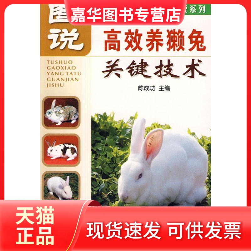 【正版现货】 图说养獭兔关键技术 陈成功 主编 著作 金盾出版社