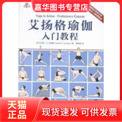 【正版现货】 艾扬格瑜伽入门教程 艾扬格 江苏美术出版社