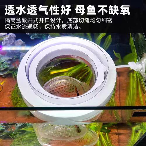 鱼缸专用孔雀鱼孵化隔离盒｜凤尾