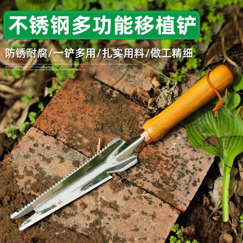 不锈钢小铲子园艺工具种花养花家用种菜拔草除草农用移植赶海神器,鲜花速递/花卉仿真/绿植园艺,铲子,淘宝优惠券,粉丝福利购,淘宝优惠卷