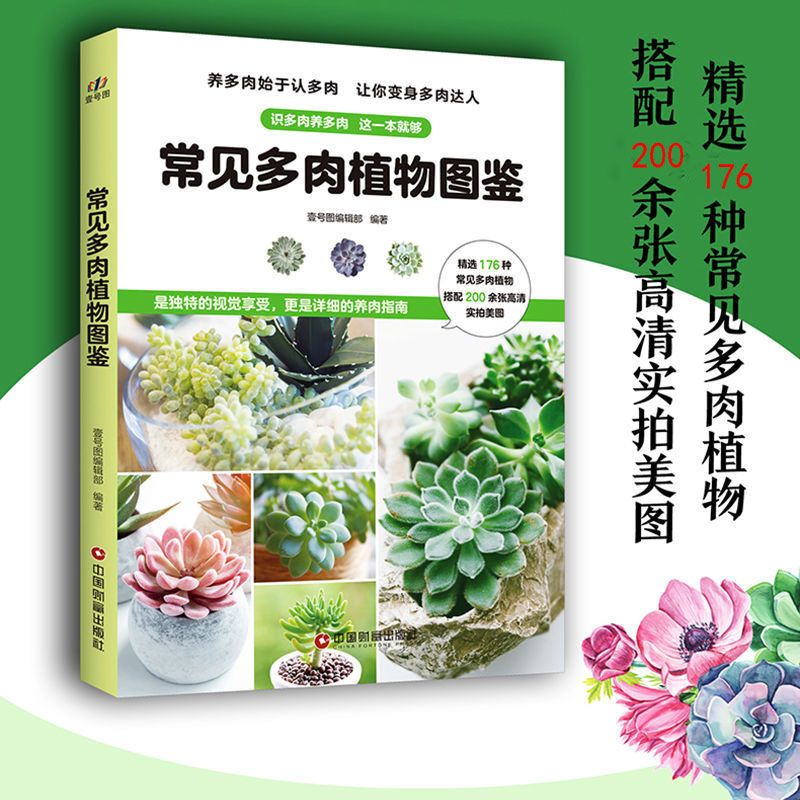 常见多肉植物图鉴家居园艺推荐书籍 精选176种多肉植物搭配200余张高清实拍美图 多肉植物百科书