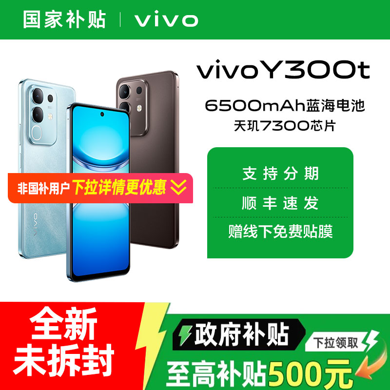 【政府补贴15%】vivo Y300t