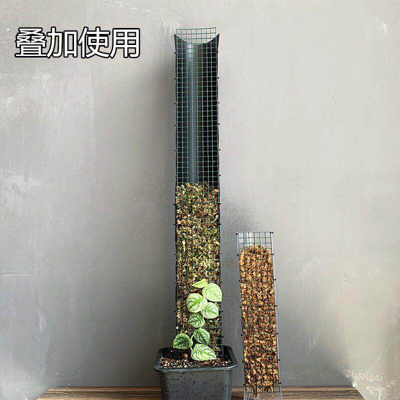 植物水苔柱龟背竹水苔柱柱子哥水苔柱植物攀爬柱龟背竹攀爬柱园艺
