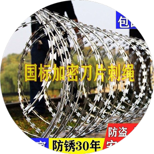 刀片刺绳不锈钢滚笼刀片防护网刺网带刺铁丝防盗防爬刺围墙防爬网