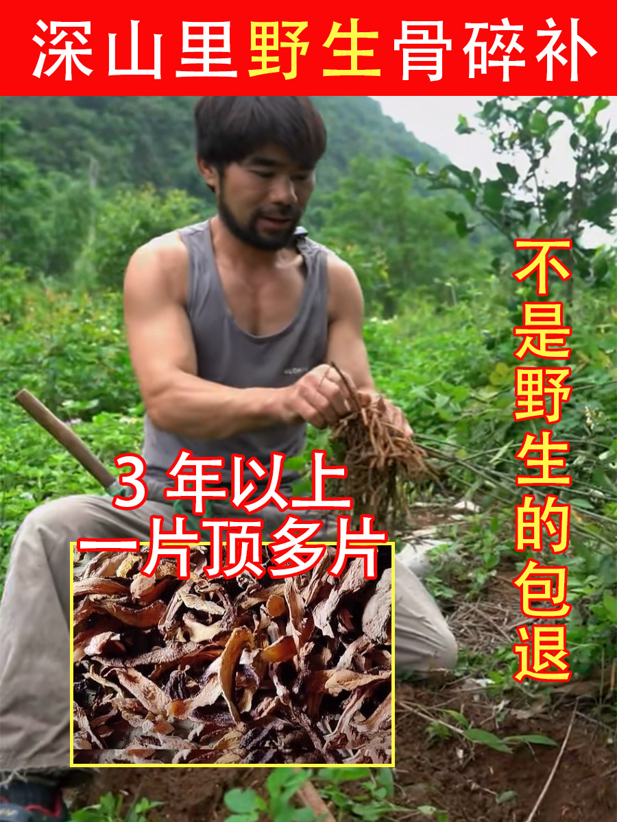 深山纯野生骨碎补500g中药材片饮粉特级申姜石姜巴崖姜生发毛姜干