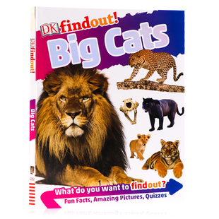 Cats 大型猫科动物 findout 软精装 狮子老虎猎豹科普百科 进口图书 DK发现知识系列儿童启蒙知识绘本 英文原版 Big 英语读物